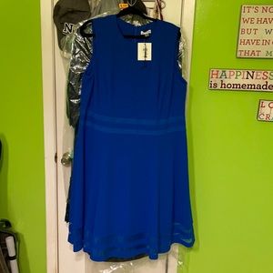 Womens Dress